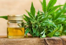 How It Can Be Treated with CBD Oil