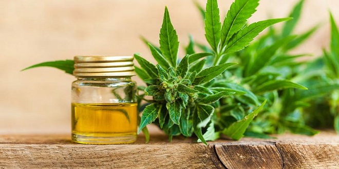 How It Can Be Treated with CBD Oil